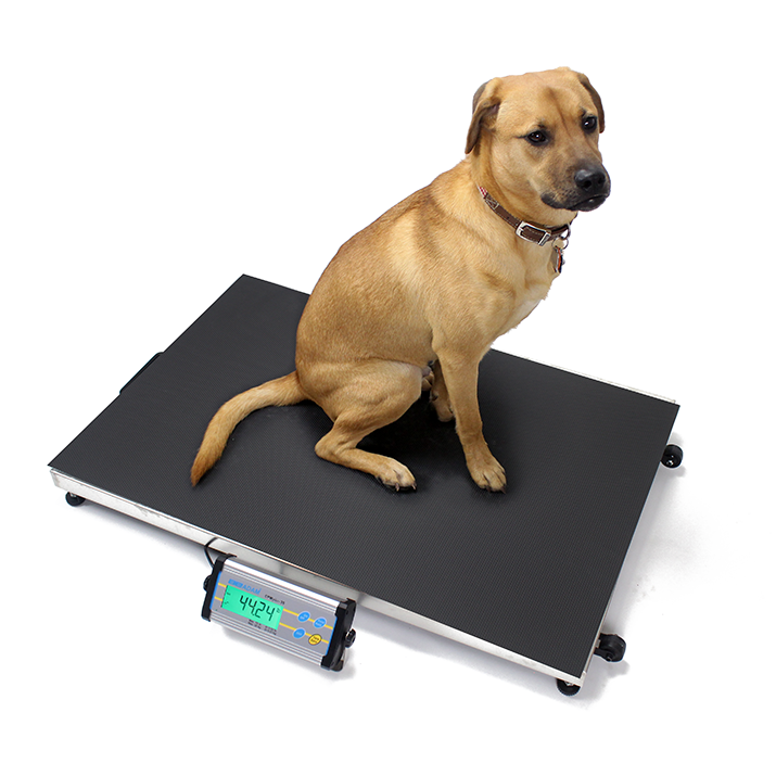 Veterinary Scales for Animal Weighing