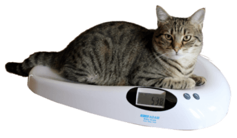 MTB Pet Scale 20kg x 5g 285x560mm platen