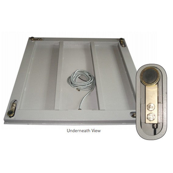 CAS HFS Platform Scale