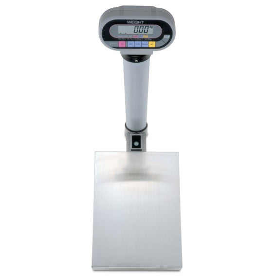 ISHIDA IG Platform Scales