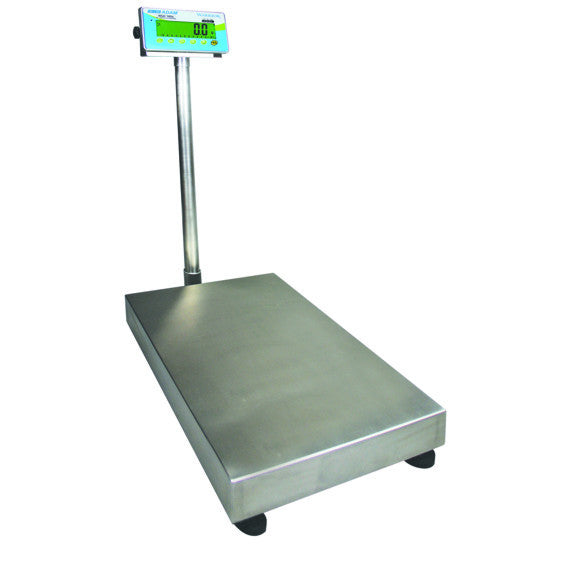 ADAM Warrior WLK Scale